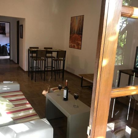 Mza Wine Apartment -Next To Aristides Street- First Class Mendoza Dış mekan fotoğraf