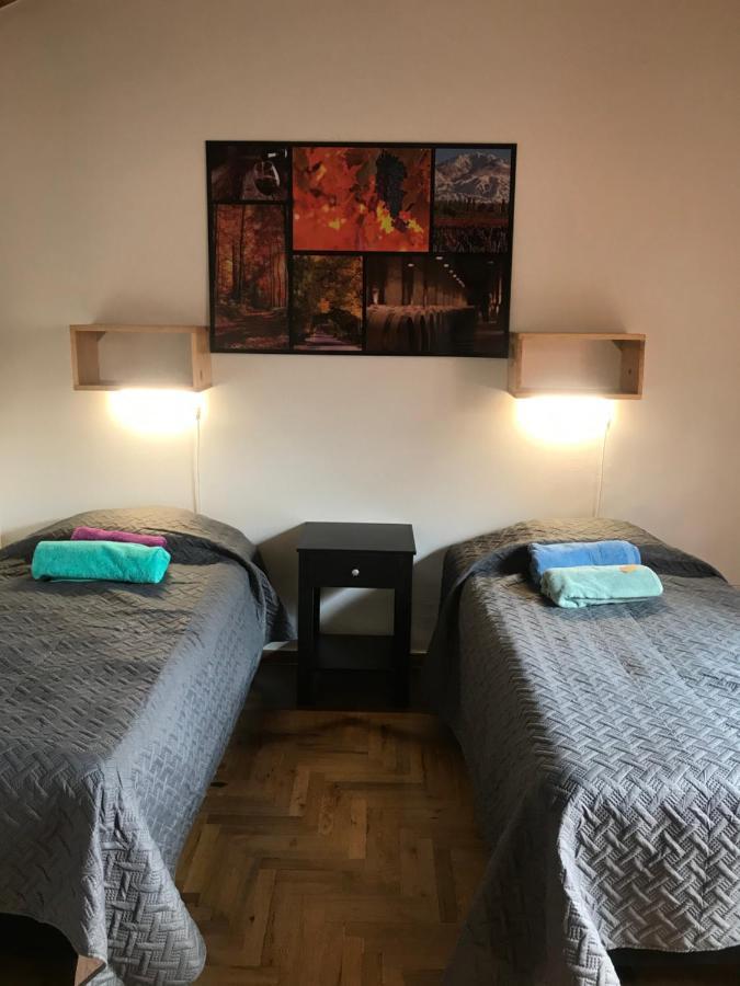 Mza Wine Apartment -Next To Aristides Street- First Class Mendoza Dış mekan fotoğraf